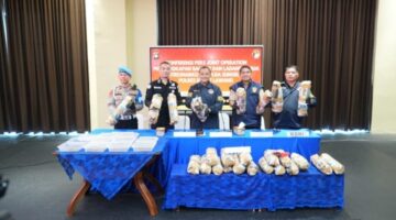 Polda Sumsel Bongkar Sindikat Ladang Ganja 20 Hektar di Empat Lawang, 220 Kg Ganja Disita