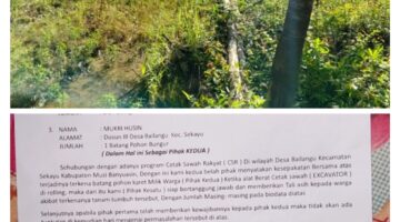 Didukung Panglima TNI, Program Cetak Sawah Diduga Justru Rusak Ratusan Pohon Karet Masyarakat Bailangu