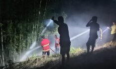 Lahan Perkebunan di Talang Rimbo Lama Terbakar,Damkar dan Warga Gerak Cepat Padamkan Api
